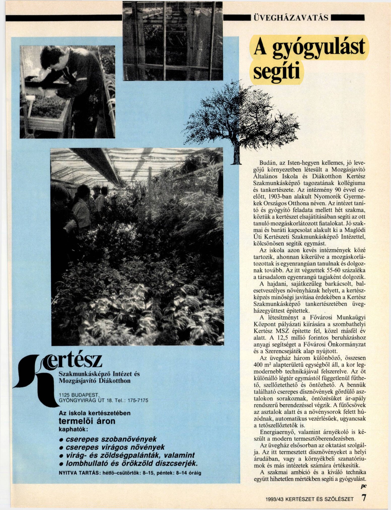 1993.10. 28. Uveghazavatas. A gyogyulast segiti. Kerteszet es Szoleszet borító