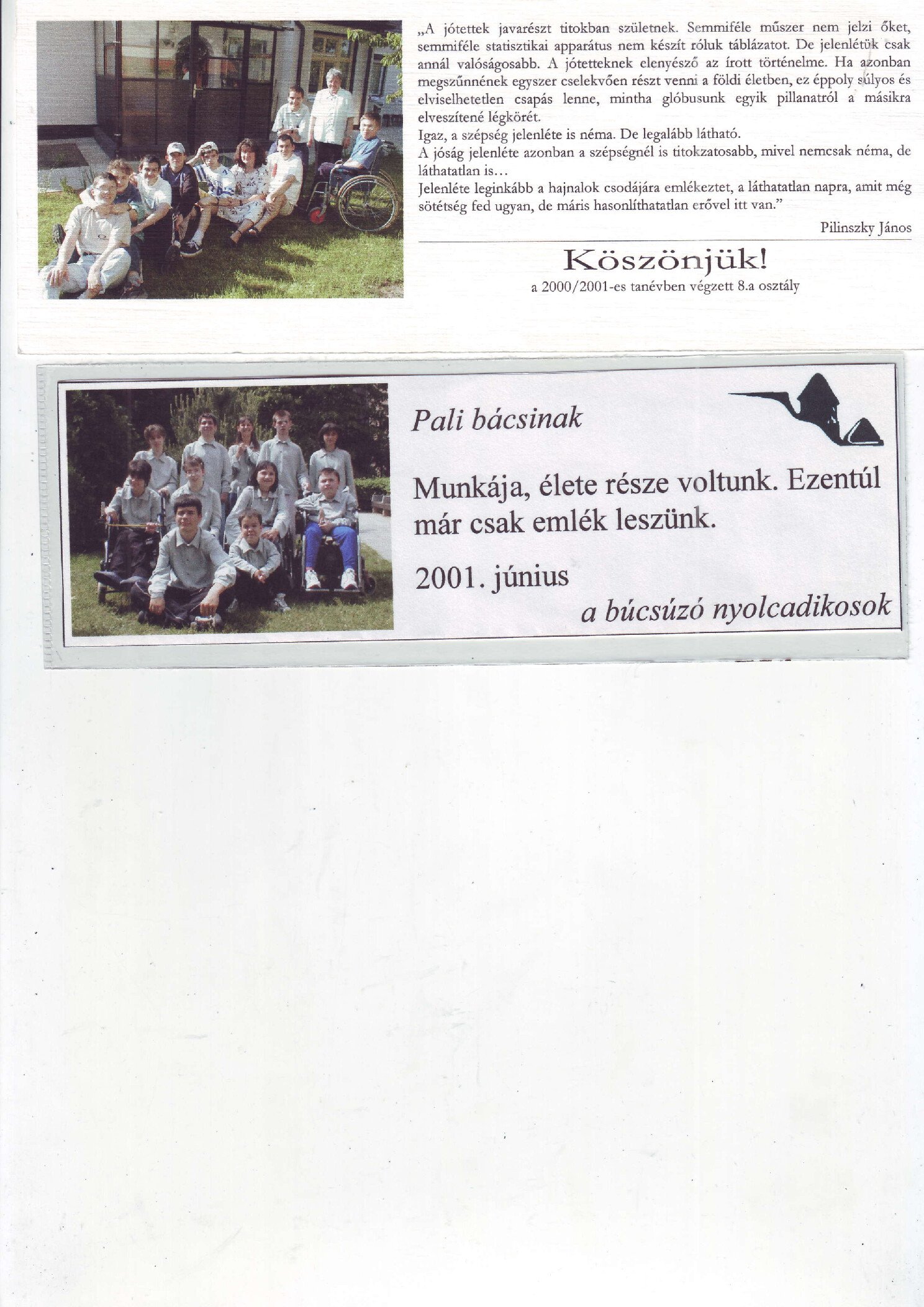 2001. Bucsuzo 8. oszalyosok borító