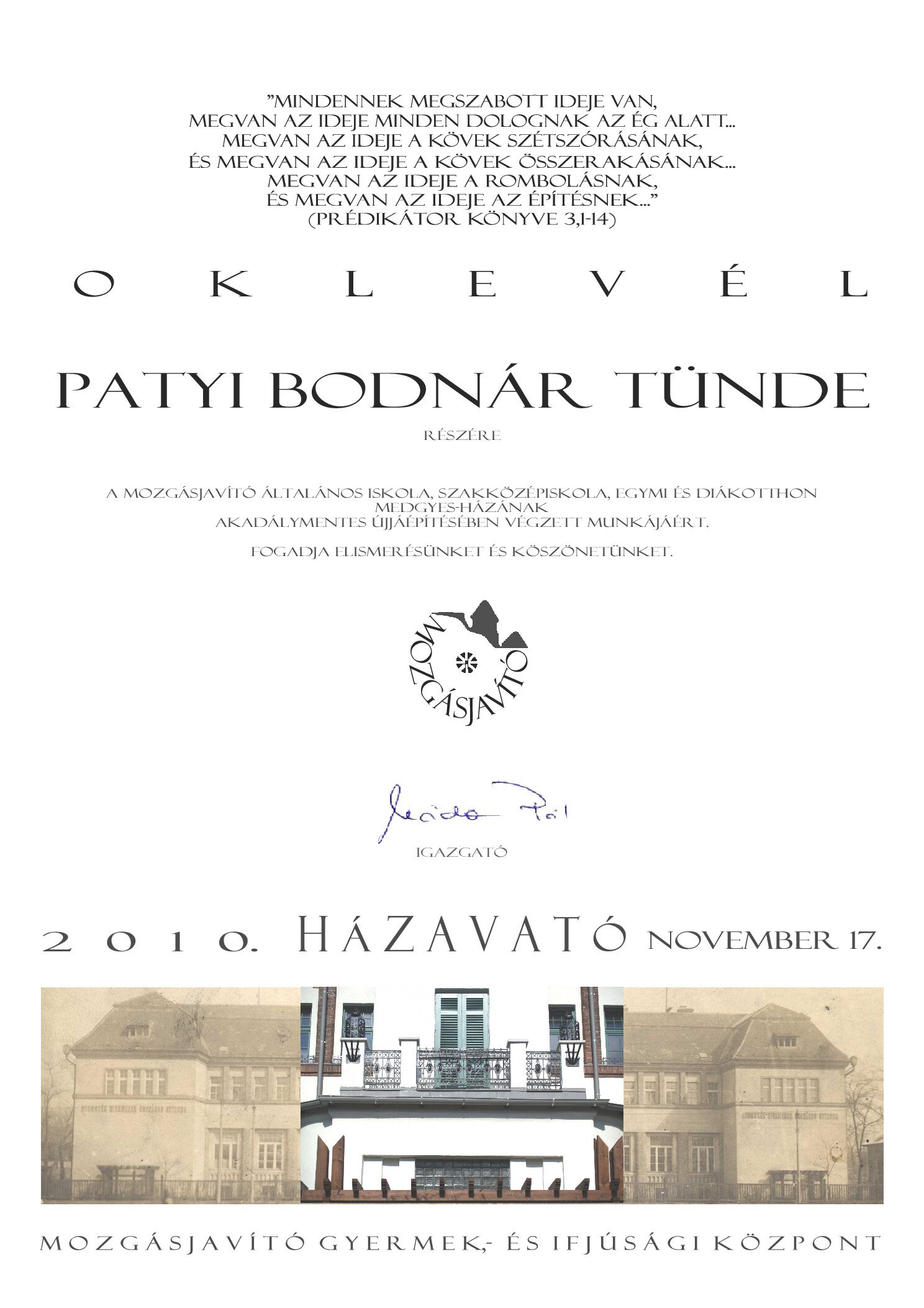 2010. Oklevel Patyi Bodnar Tundenek borító